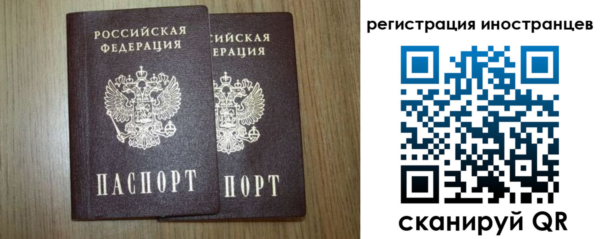 прописка для школы в Нововоронеже